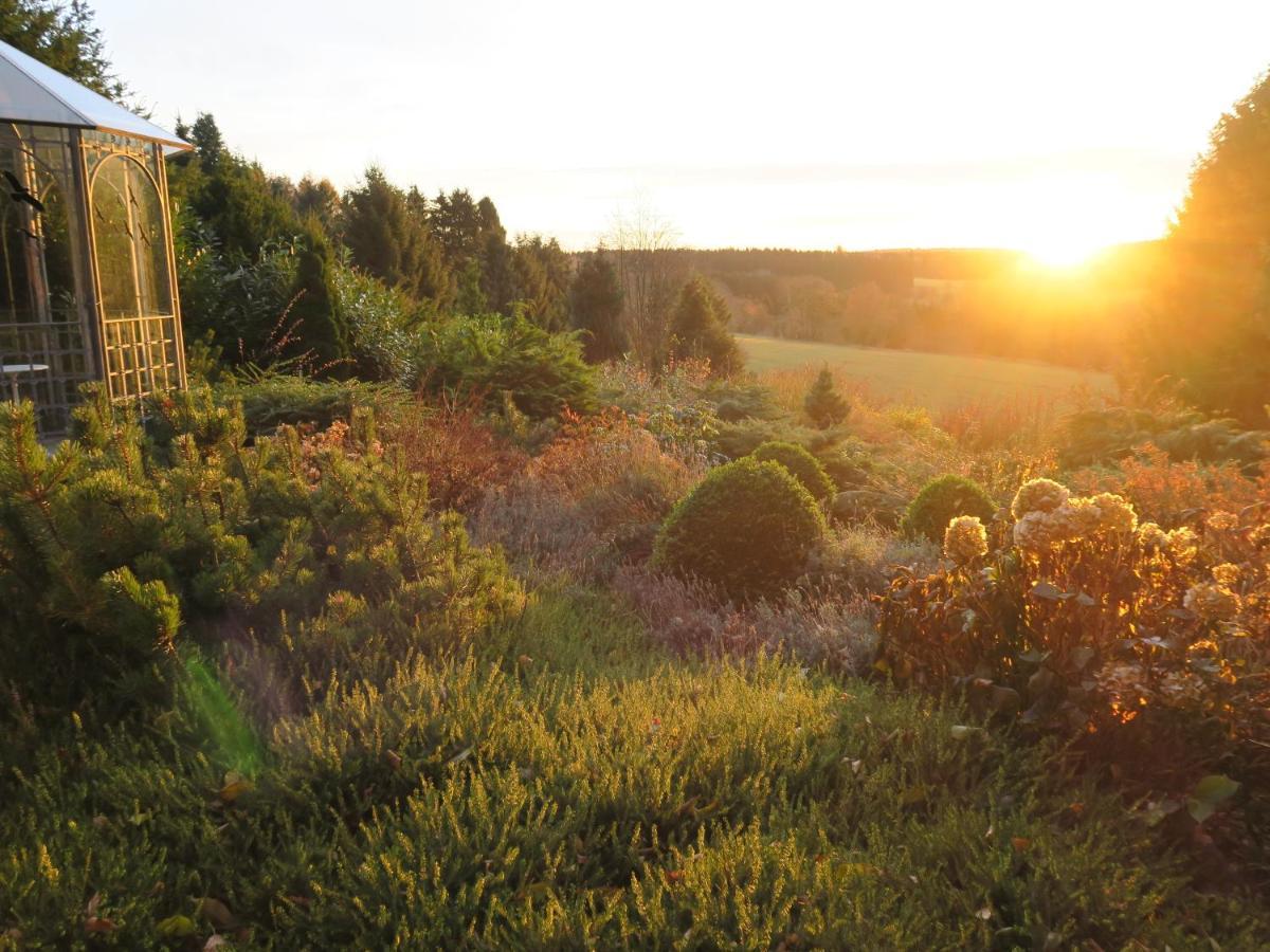 Ferienhaus Sonne, Harz Und Sterne Villa Hohegeiß Exterior foto