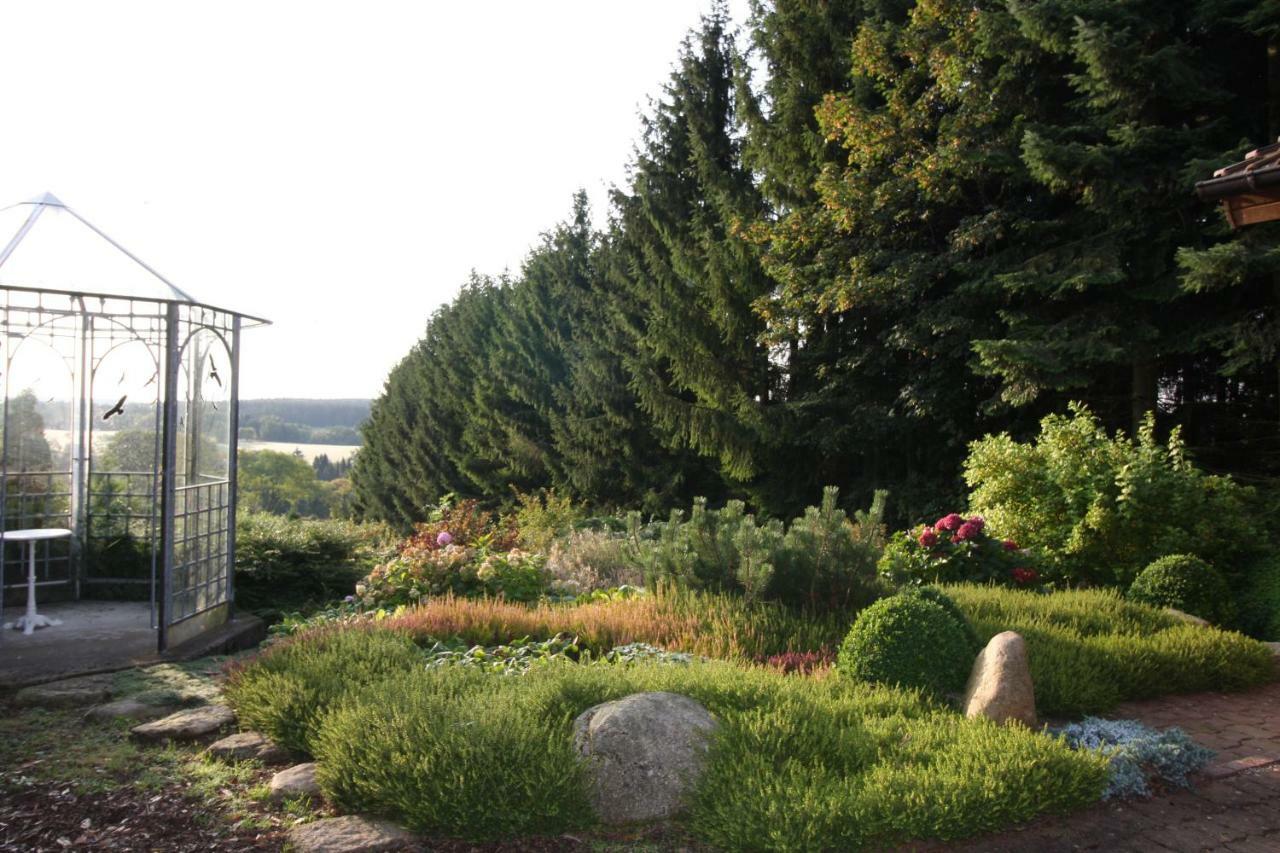 Ferienhaus Sonne, Harz Und Sterne Villa Hohegeiß Exterior foto