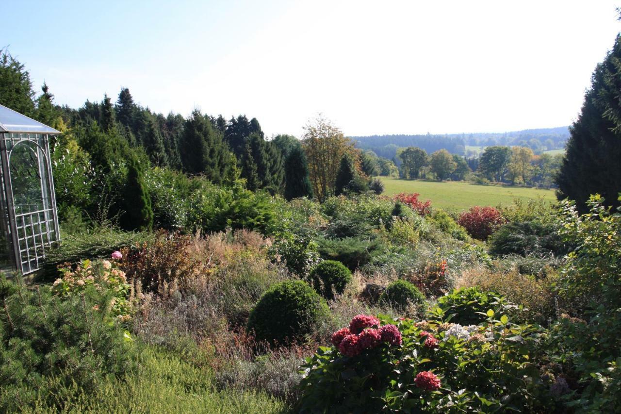 Ferienhaus Sonne, Harz Und Sterne Villa Hohegeiß Exterior foto